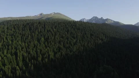 Aerial view spruce forest on hillside mountain range with peaks, Arkhyz Caucasus Stock Footage 165483765