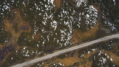 Aerial view of spruce forest mixed with bare trees in spring time. Taiga Stock-Footage 104578437