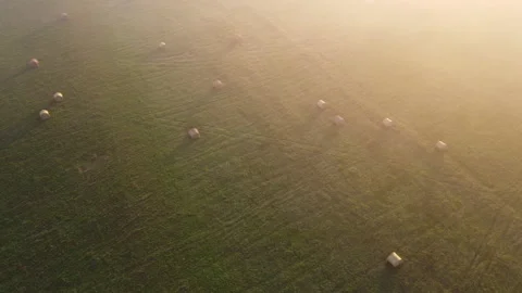 Aerial view of the stack field Stock Footage 171145178