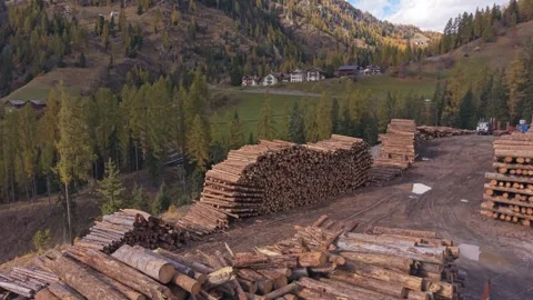Aerial view of stacked timber logs in forest clearing, Dolomites, Italy Stock Footage 321551736