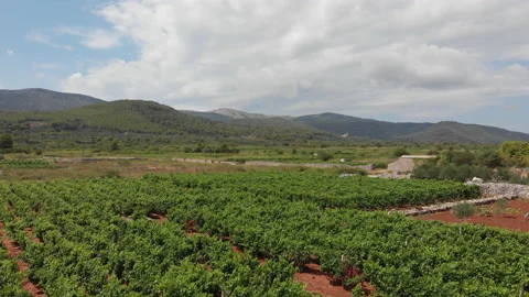 Aerial view of the Stari Grad plain 01 Video stock 139746130