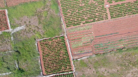 Aerial view of the Stari Grad plain 10 Video stock 139746366