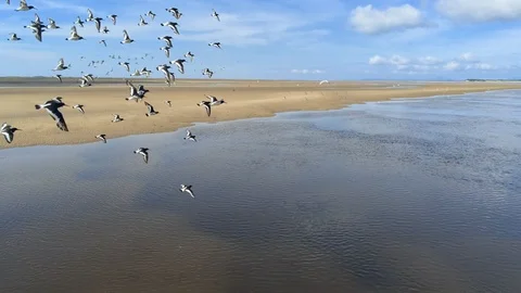 Aerial view, static, reverse move. Drone panorama over low tide sea and sand. 動画素材 94237676