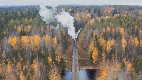 Aerial view steam train in the fall forest Stock Footage 126578434