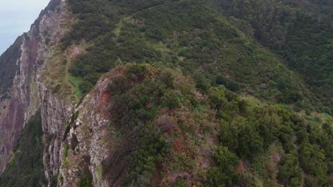 Aerial view of steep forested cliff face overlooking ocean in Madeira Stock Footage 332709192