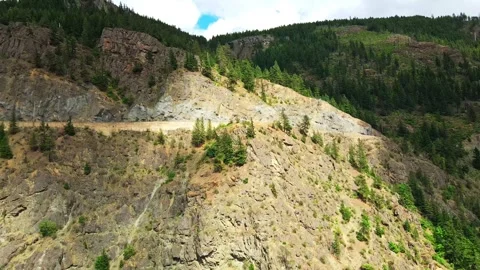 Aerial view of steep rocky cliff and mountain road with pine forest in sunlight Stock Footage 343543376