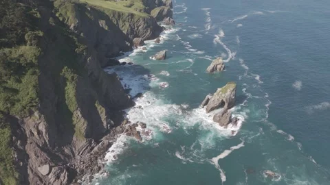 Aerial view of steep sea cliffs and breaking waves on a green coast Vídeos de archivo 342261412
