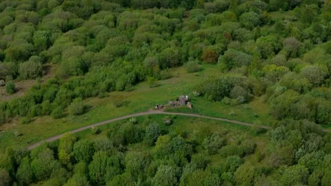 Aerial View, Stone Direction Guidance Markers in Green Country Park Vidéo 341357949