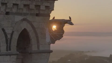 Aerial view of stone gargoyle in Siena, Italy. Stock Footage 345654840