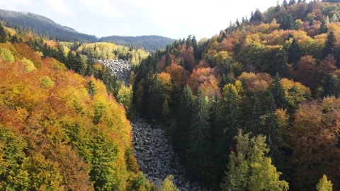 Aerial view of Stone river know as Zlatnite Mostove, Vitosha Mountain, Bulgaria Video stock 166453425