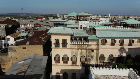 AERIAL view of the Stone Town, old part of Zanzibar City. Stock Footage 313614717