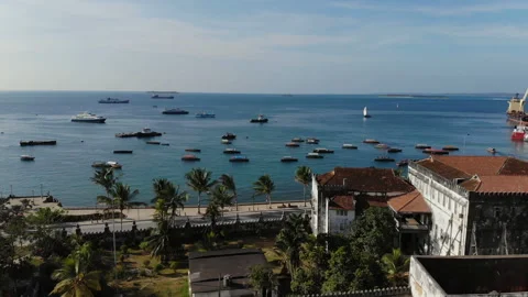 AERIAL view of the Stone Town, old part of Zanzibar City. Stock Footage 313615513