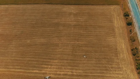 Aerial view of storks flying over crop countryside fields in search of food. Stock Footage 124948214
