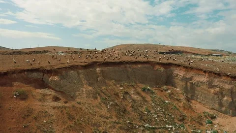An aerial view of storks at a landfill Stock Footage 318901722
