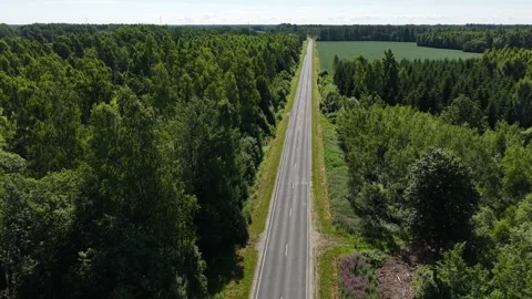 Aerial view of a straight empty road cutting through dense green forest and Vídeo Stock 339086560