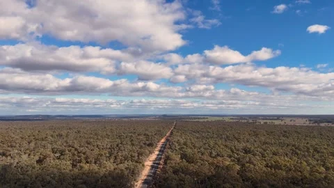 Aerial View of Straight Outback Road Through Eucalyptus Forest 库存影片 341536432