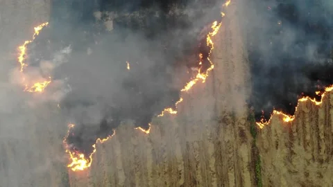 Aerial view straw rice burn after harvest impact of environment Stock Footage 145204670