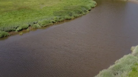 Aerial View of Stream and Forest Stock Footage 95567149