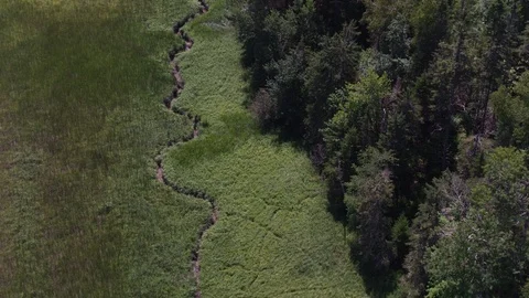 Aerial View of Stream and Forest Stock Footage 95574878