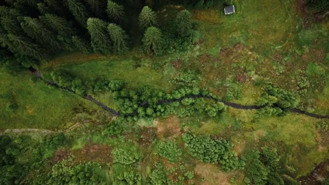 Aerial View of Stream and Meadow in Saxony Stock Footage 314267057