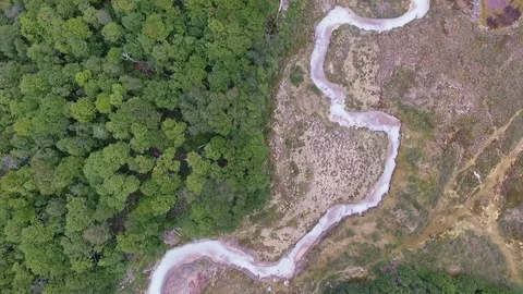 Aerial view of a stream flowing across the meadow and nothofagus forest Stock Footage 129794550