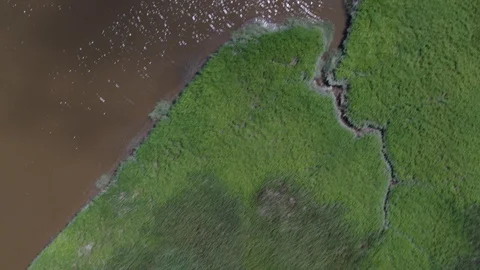 Aerial View of Stream Stock Footage 95569520