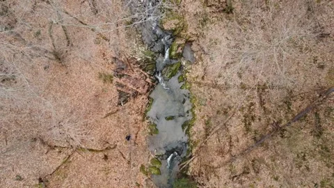 Aerial View of Stream Video stock 235025614