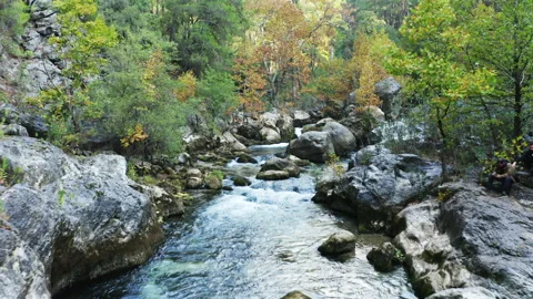Aerial view of stream in forest. 4K Footage in Turkey Stock Footage 209670507