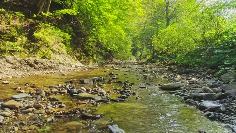 Aerial View. Stream of a Mountain River in a Magical Green Forest. Stock Footage 156634076