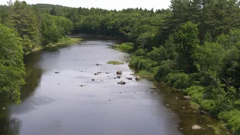 Aerial View of Stream Surrounded by Forest Stock Footage 95503016