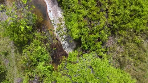Aerial View of Stream Surrounded by Lush Greenery in Santander Stock Footage 330925100
