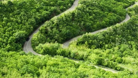 Aerial view of streamer road between the trees in Kakheti, Georgia. Stock Footage 219474991