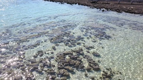 Aerial view Stromatolites Shark Bay Western Australia Stock Footage 115721253