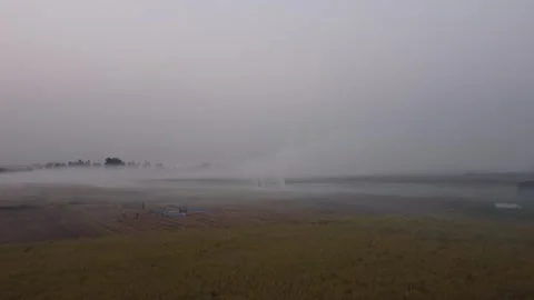 Aerial View of Stubble Burning Smoke Over Haryana Farmland, India Stock Footage 342091369