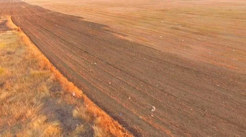 Aerial View Of Stubble Field Stock-Footage 53764565
