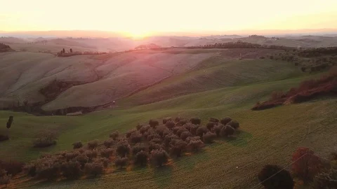 Aerial view, stunning flight over the green Tuscany Hills at sunset Stock Footage 103279999