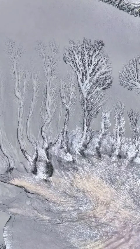 Aerial View of Stunning Tidal Earth Tree Patterns Qiantang River China Stock Footage 342601334