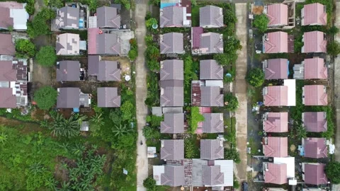 Aerial view of subsidized housing adjacent to oil palm plantations Stock Footage 264038449