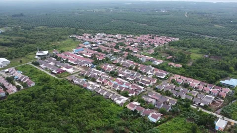 Aerial view of subsidized housing adjacent to oil palm plantations Stock Footage 264039406