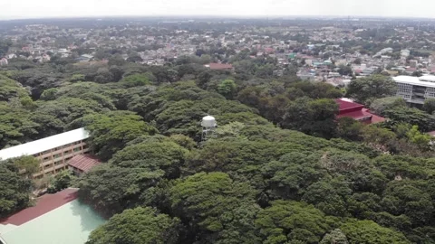 Aerial View of Suburb Stock Footage 138567440