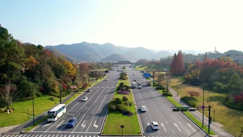 Aerial view of suburb road Stock Footage 166814565