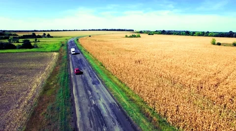 Aerial view of suburban road between fields Stock Footage 60684876