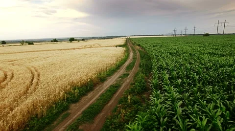 Aerial view of suburban road between fields Stock Footage 64740596