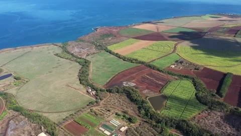 Aerial view of sugar cane fields, Mauritius. Stock Footage 318153751