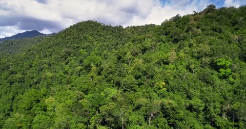 Aerial view of the Sumatra. Stock Footage 102847147