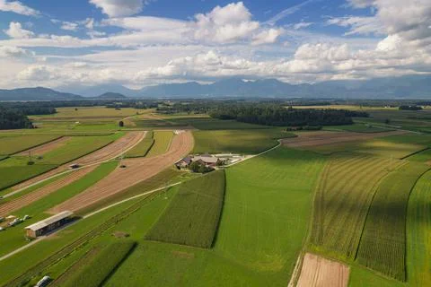 Aerial view of summer fields 스톡 사진