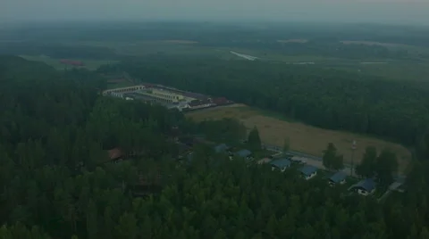 Aerial view of summer forest Stock Footage 63906416