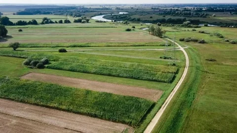 Aerial View of Summer Green Fields in Poland Video stock 330261136