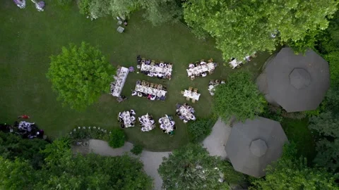 Aerial view of a summer wedding. Stock Footage 228689118