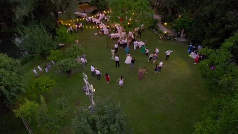 Aerial view of a summer wedding. Stock Footage 228689265